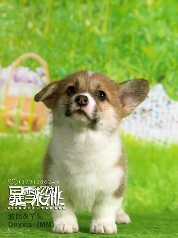 QQ图片20180106143941.jpg