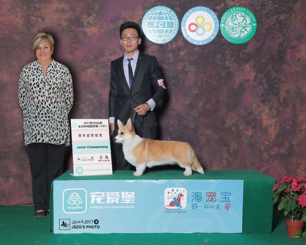 QQ图片20171221153323.jpg