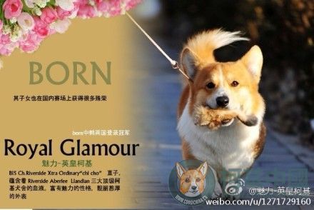 BORN 2.jpg