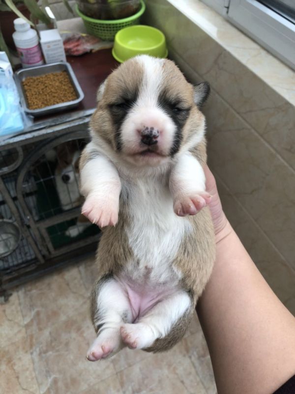 三通母2正面