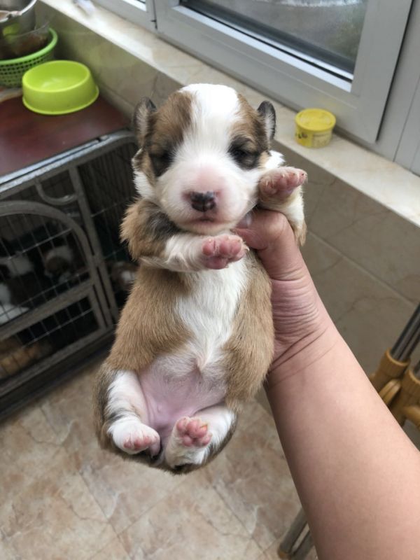 三通母1正面