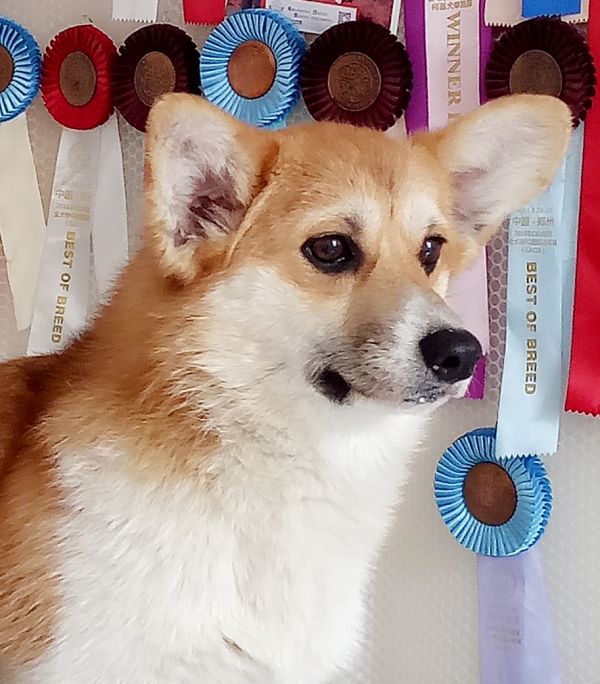 IMG20180107104826_mh1515293361539.jpg