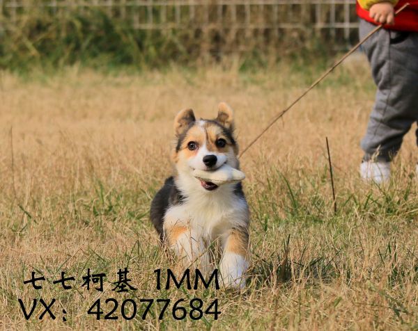 551640692958692107.jpg