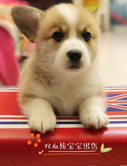 QQ图片20180109091452.jpg
