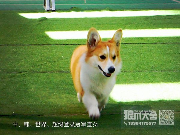 QQ圖片20180110185524.jpg