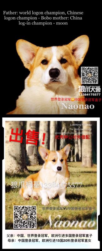 QQ圖片20180110170903.jpg
