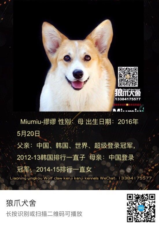 QQ圖片20180110170524.jpg