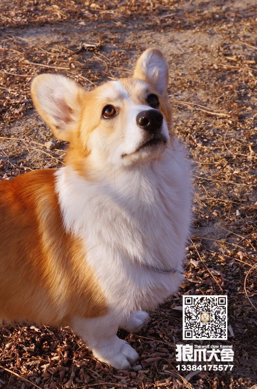 QQ圖片20180110170737.jpg