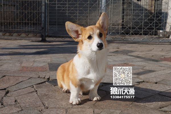 QQ圖片20180110170600.jpg