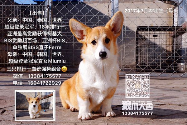 QQ圖片20180110170611.jpg