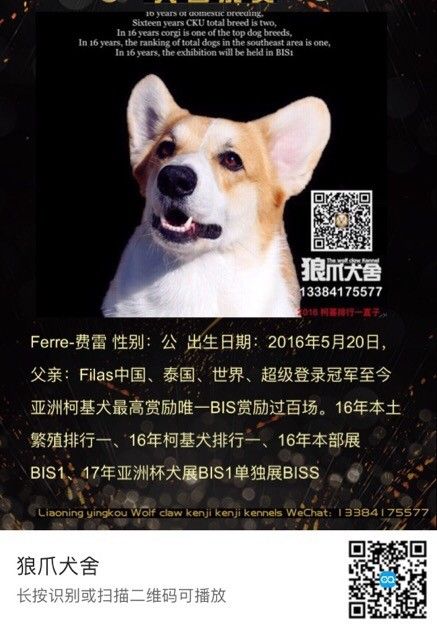 QQ圖片20180110170702.jpg