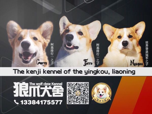 QQ圖片20180110185500.jpg