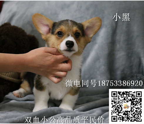 1515589686(1).png