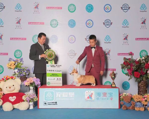 QQ图片20180111215751.jpg