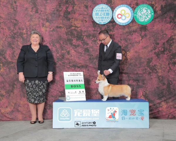 QQ图片20180111215800.jpg