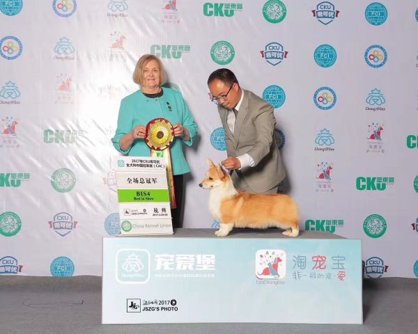 QQ图片20180111215803.jpg