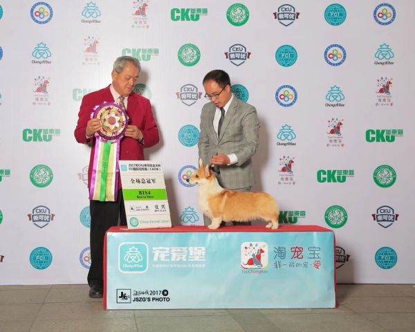 QQ图片20180111215806.jpg