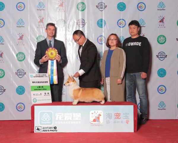 QQ图片20180111215811.jpg