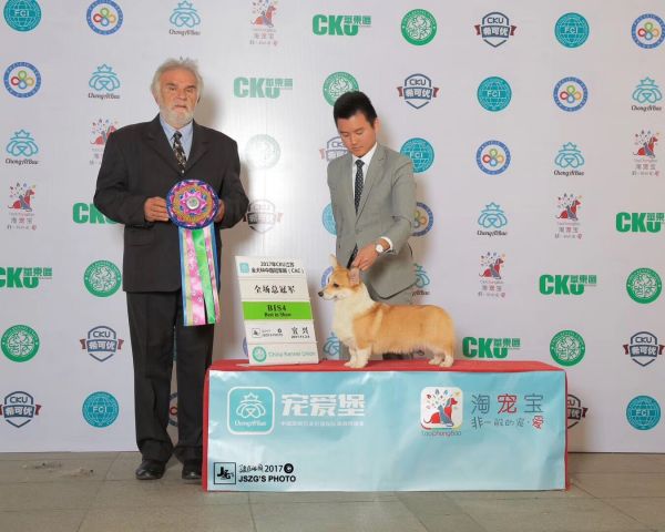 QQ图片20180111215757.jpg