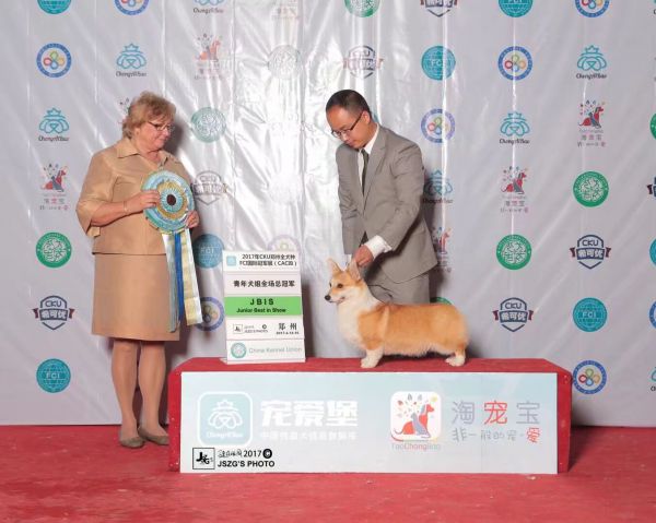 QQ图片20180111215816.jpg