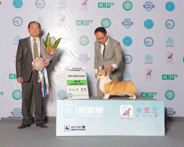 QQ图片20180111215825.jpg