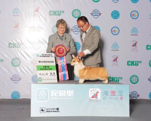 QQ图片20180111215831.jpg