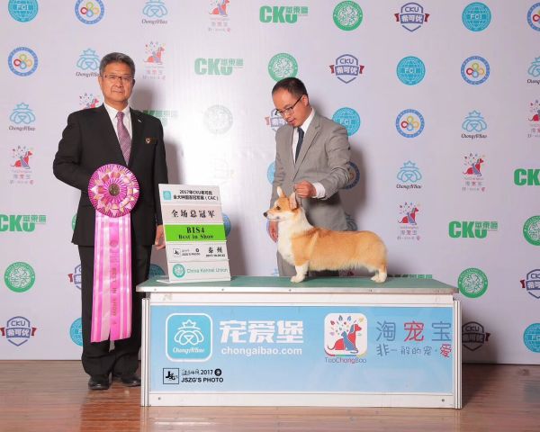 QQ图片20180111215722.jpg