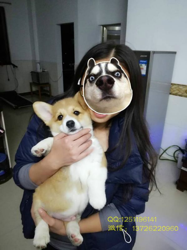 1_meitu_2.jpg