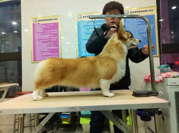 微信图片_20180112170645.jpg
