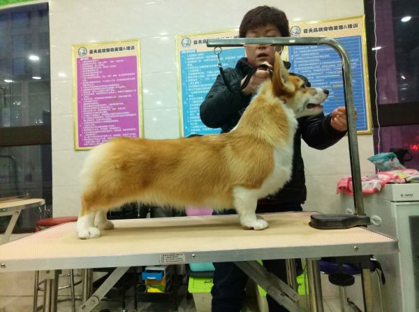 微信图片_20180112170704.jpg