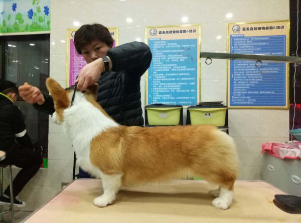 微信图片_20180112170710.jpg