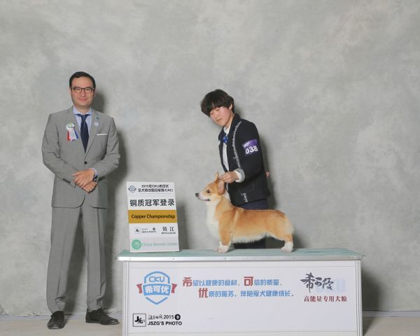112618d0d44jlprfsr00sh.jpg.thumb.jpg