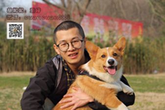 蛋仔