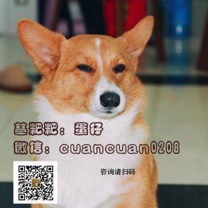 微信图片_20180113234048.jpg