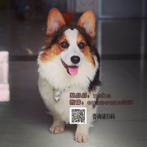 微信图片_20180113234054.jpg