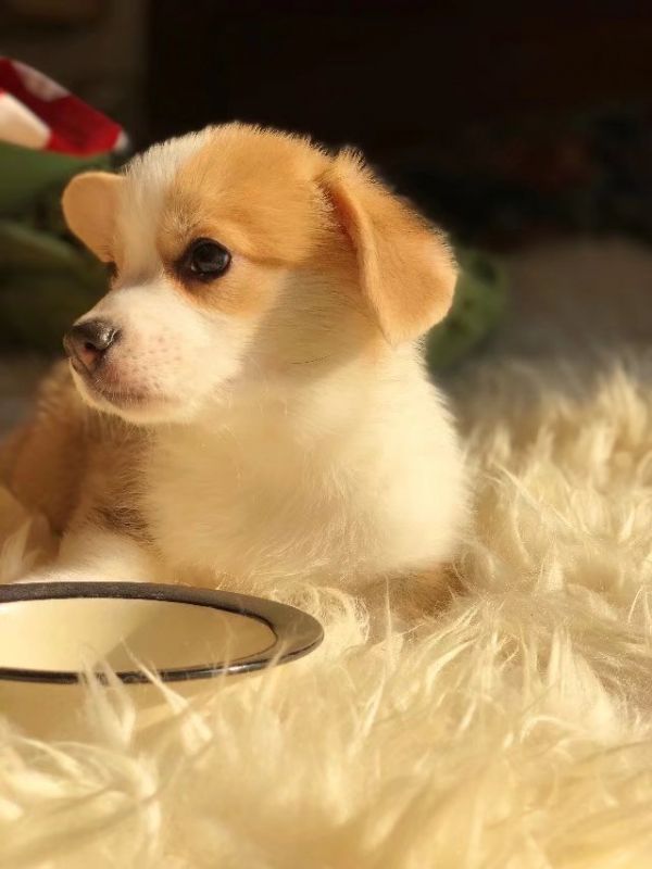 老五MM5.jpg
