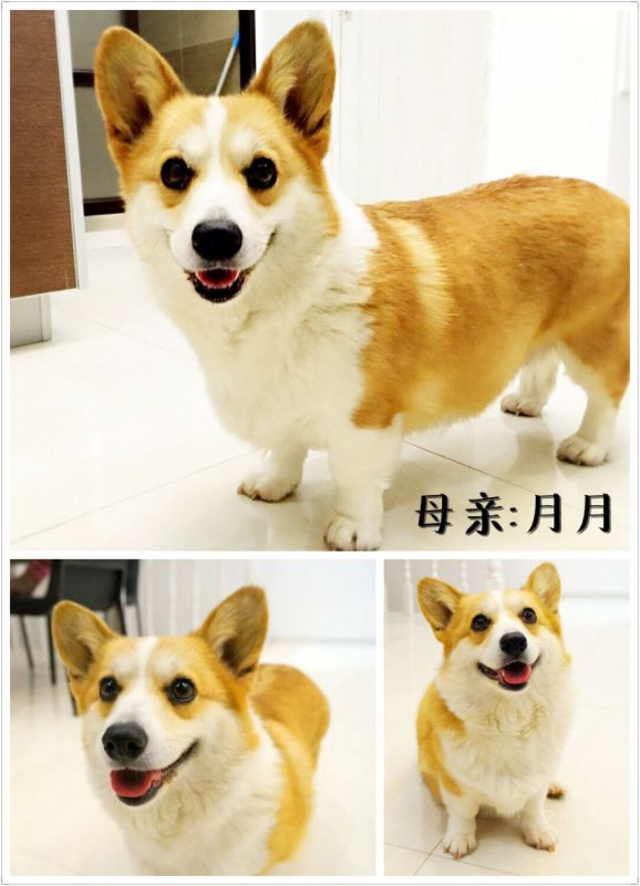 月月拼图.jpg