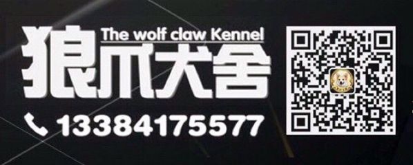 QQ圖片20171207193724.jpg