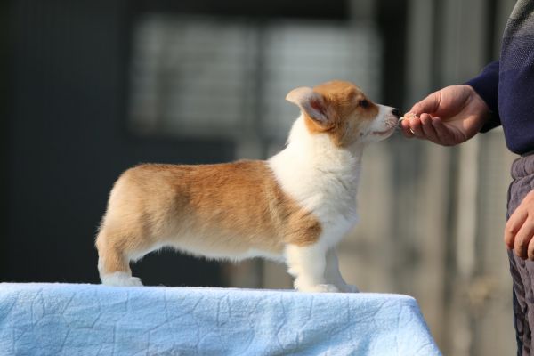 IMG_9843_爱奇艺.jpg