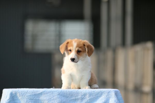 IMG_9943_爱奇艺.jpg