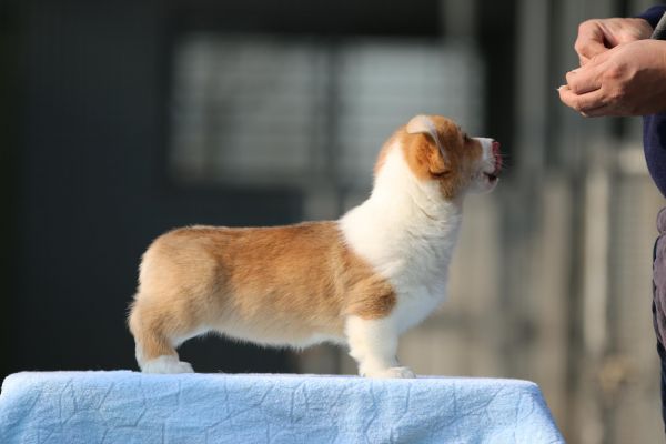 IMG_9846_爱奇艺.jpg