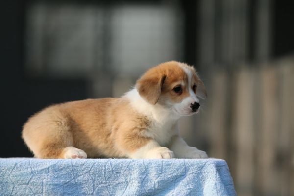 IMG_9907_爱奇艺.jpg