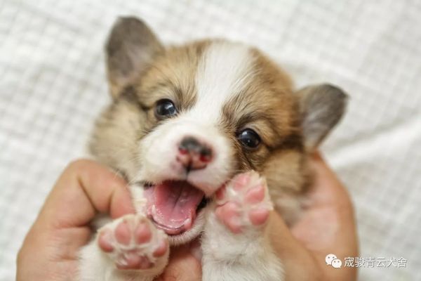 7·.jpg