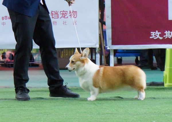 DSC00825_副本.jpg