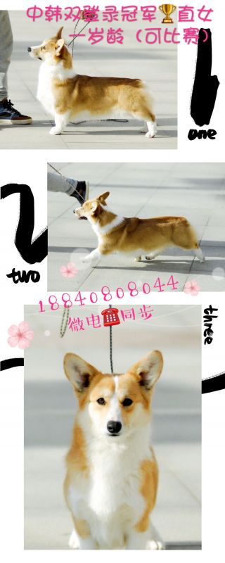 QQ图片20180118235555.jpg
