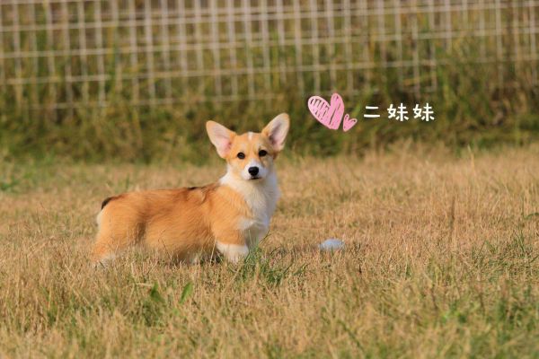 微信图片_20180119114657.jpg