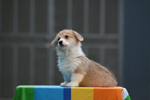 IMG_9991_爱奇艺.jpg