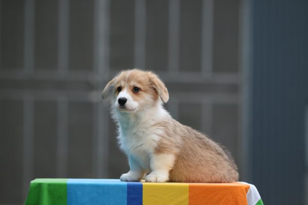 IMG_9997_爱奇艺.jpg