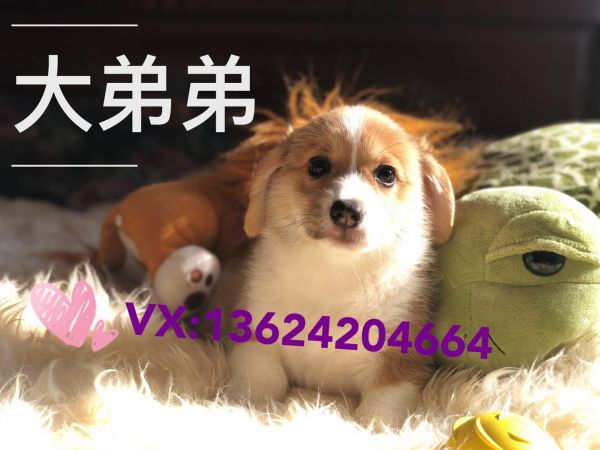 微信图片_20180119120040.jpg