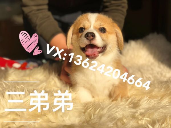 微信图片_20180119120045.jpg